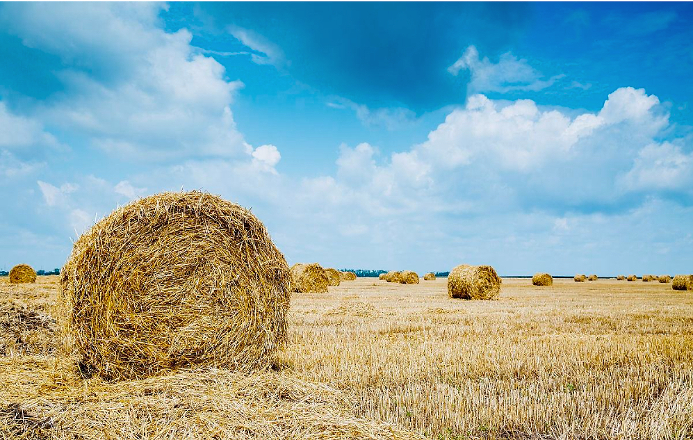 �����������߳�̨��2021�������ʷ������벹��25��Ԫ